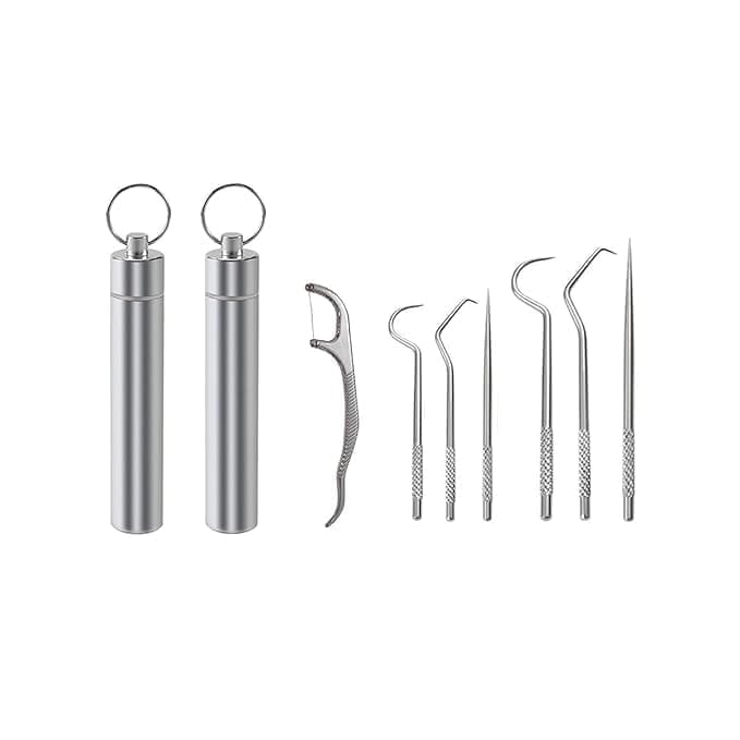 KIT & CO 7 Pcs Portable Stainless Steel Toothpicks Set, Reusable Toothpick Cleaning Kit for Teeth, Metal Toothpick Holders for Outdoor Picnic Camping Traveling