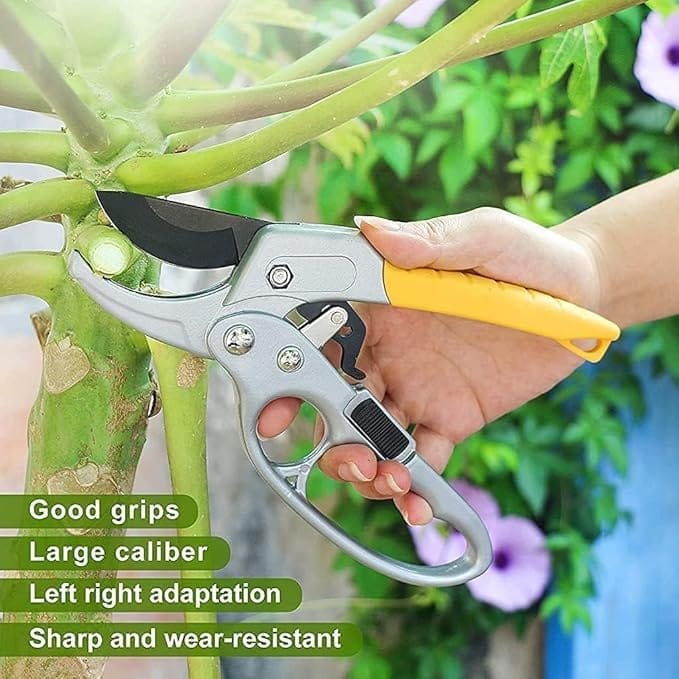 KIT & CO Gardening Scissor SK-5 Steel Blade Sharp Anvil Pruning Shears Cutter Garden Green Shears Sharp Cutter Hand Pruner Heavy Duty Gardening Cutter Tool Tree Trimmers Secateurs Plant Branch Cutter