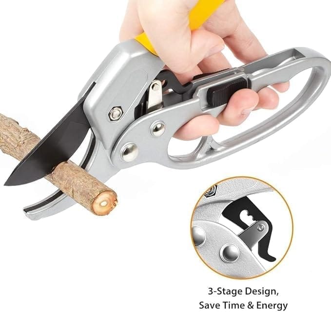 KIT & CO Gardening Scissor SK-5 Steel Blade Sharp Anvil Pruning Shears Cutter Garden Green Shears Sharp Cutter Hand Pruner Heavy Duty Gardening Cutter Tool Tree Trimmers Secateurs Plant Branch Cutter