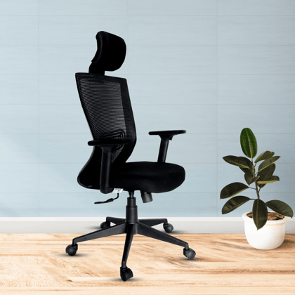OOLIVE ELITE OC199 Executive Ergonomic High Back Office Chair, Tailored for Superior Comfort