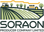 Soraon Producer Company Limited
