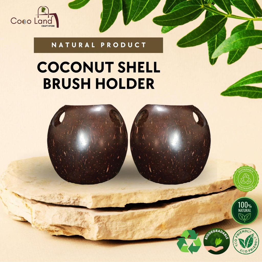 Premium Home - - and - - Decor CocoLand Coconut Shell Brush Holder 2025 at ShopCircuit | ONDC
