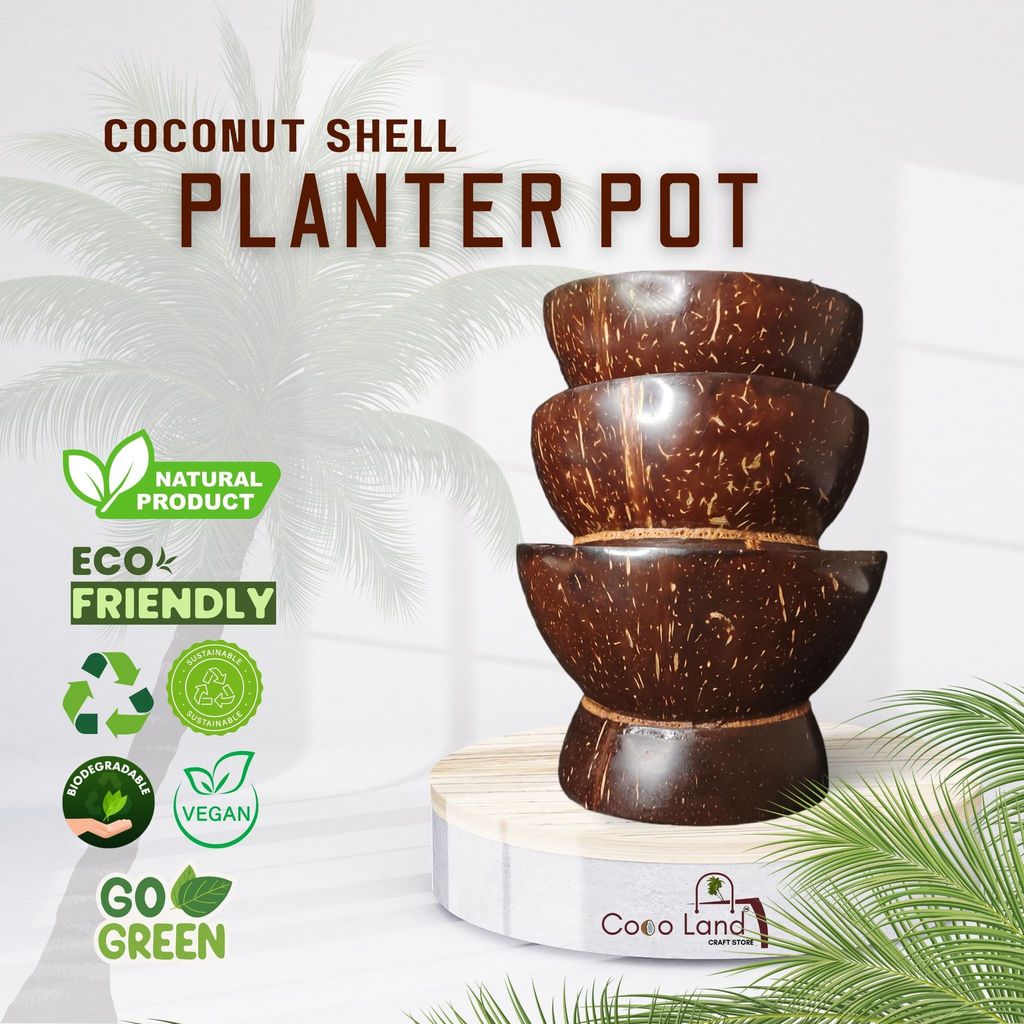 Exclusive Home - - and - - Decor CocoLand Coconut Shell Planter Pot Large Size 250 ml 2025 at Sh