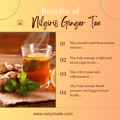 Nilgiris Silver Oak Ginger Tea – Authentic Ooty Tea Powder for Ultimate Ginger Tea Benefits
