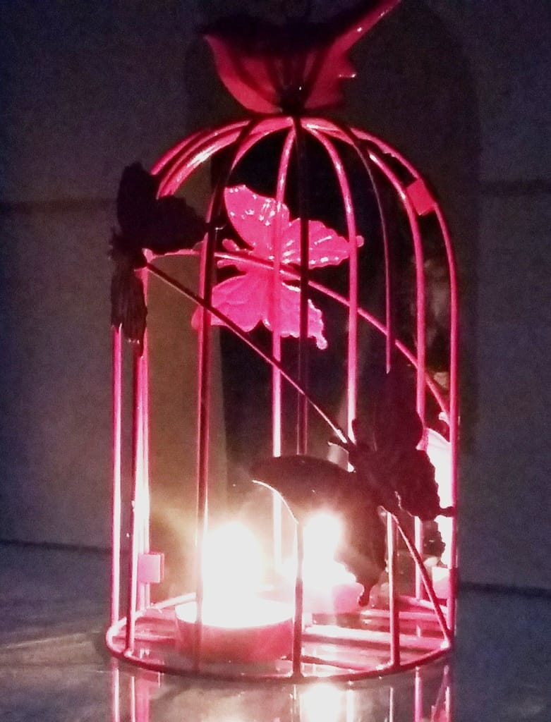 Stunning Decorative Designer Red Bird Cage Wall Art/Tealight Holder - by Marigold Stores®