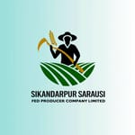 SIKANDARPUR SARAUSI FED PRODUCER COMPANY