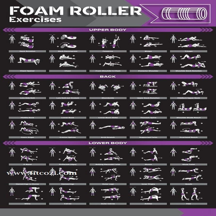 Foam Roller Exercises Guide - Sports and Fitness Equipment | Buy online on ZillyBuy