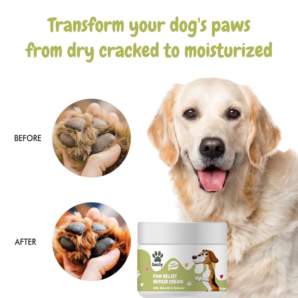 Bscly Dog Shampoo 1000Ml - Ticks & Fleas Prevention - Enriched with Chamomile, Aloe and Coconut Oil - Moisturizes & Heals Skin - Suitable for Pomeranians to Golden Retrievers