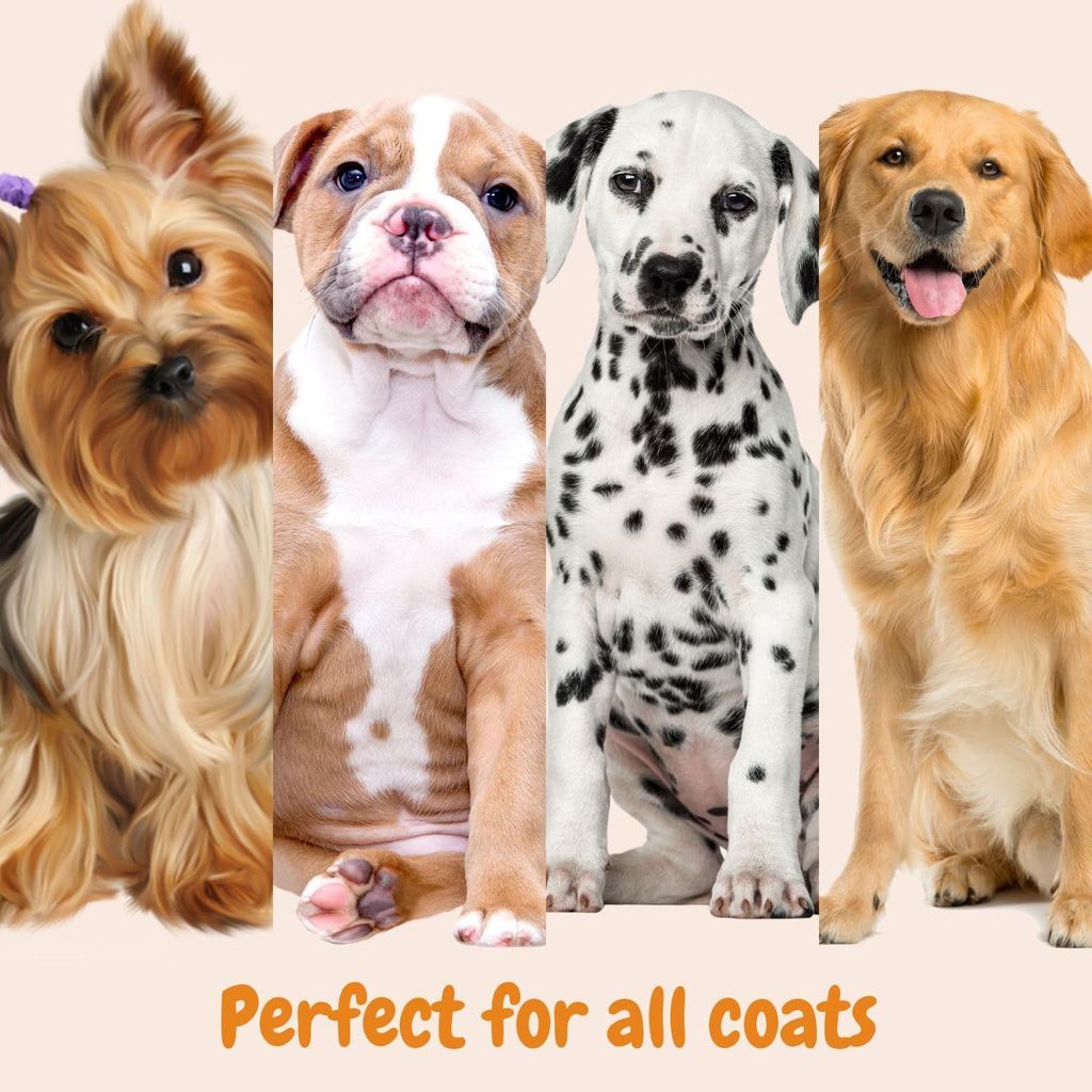 Trespaws Anti Frizz Dog Shampoo | Dog Shampoo for Pomeranian, Shih tzu Puppy, German Shepherd, Labrador & Golden Retriever, Dogs Shampoo | 200ml