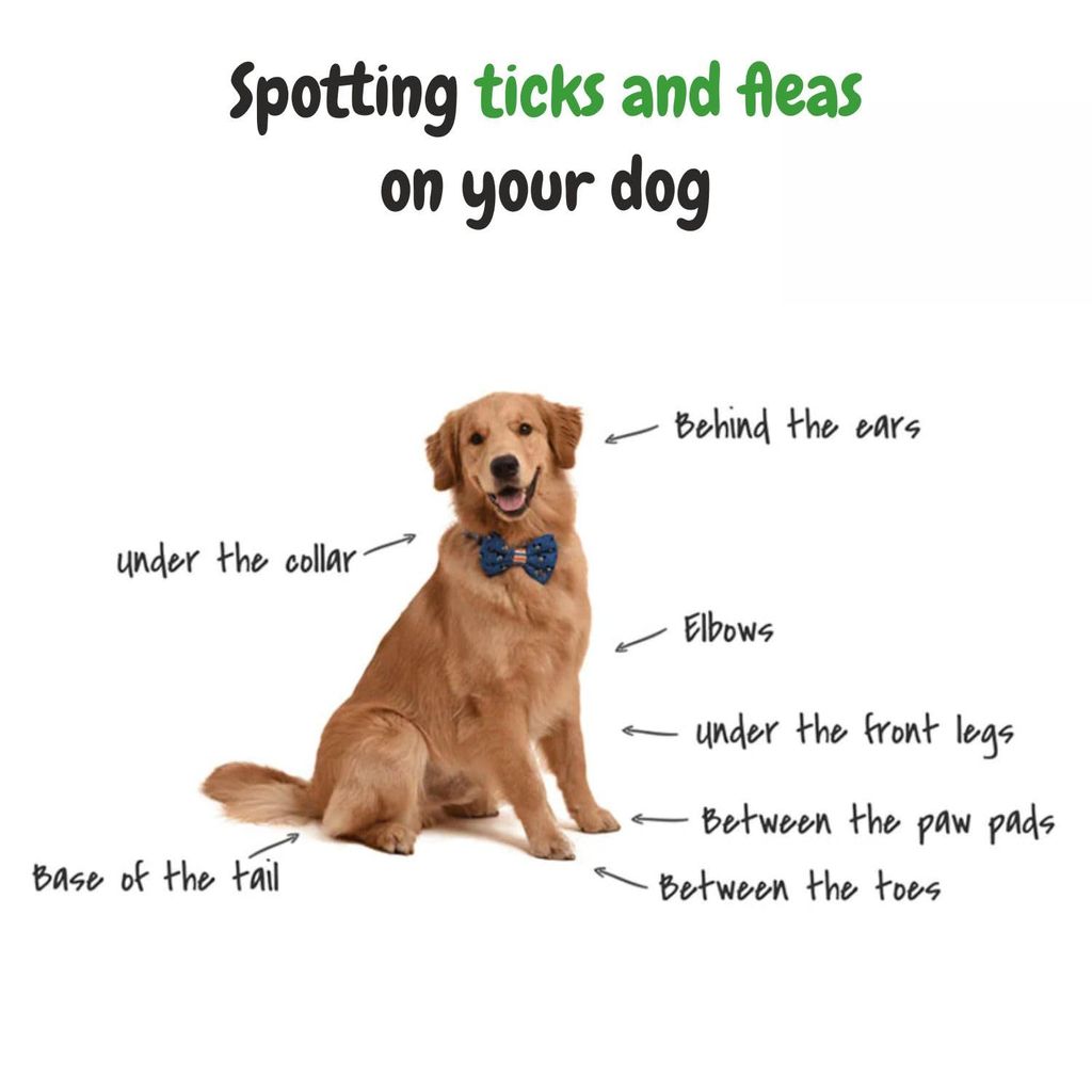 Bscly Dog Shampoo 1000Ml - Ticks & Fleas Prevention - Enriched with Chamomile, Aloe and Coconut Oil - Moisturizes & Heals Skin - Suitable for Pomeranians to Golden Retrievers