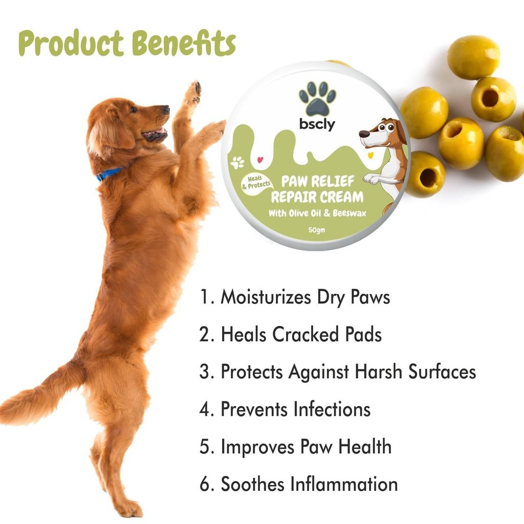 Bscly Dog Shampoo 1000Ml - Ticks & Fleas Prevention - Enriched with Chamomile, Aloe and Coconut Oil - Moisturizes & Heals Skin - Suitable for Pomeranians to Golden Retrievers