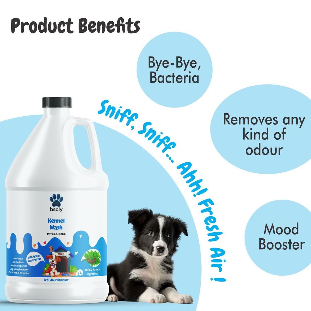 Bscly Dog Shampoo 1000Ml - Ticks & Fleas Prevention - Enriched with Chamomile, Aloe and Coconut Oil - Moisturizes & Heals Skin - Suitable for Pomeranians to Golden Retrievers