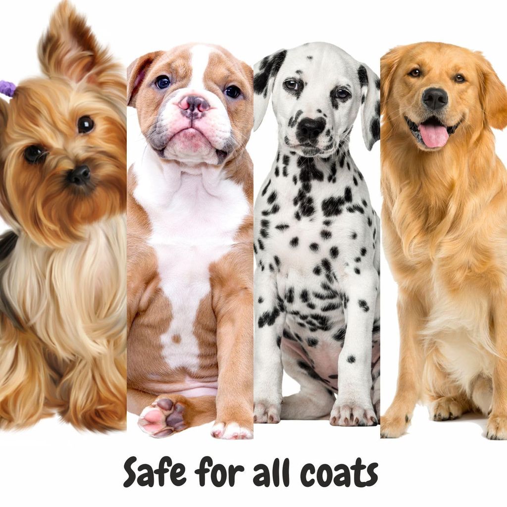 Bscly Dog Shampoo 1000Ml - Ticks & Fleas Prevention - Enriched with Chamomile, Aloe and Coconut Oil - Moisturizes & Heals Skin - Suitable for Pomeranians to Golden Retrievers