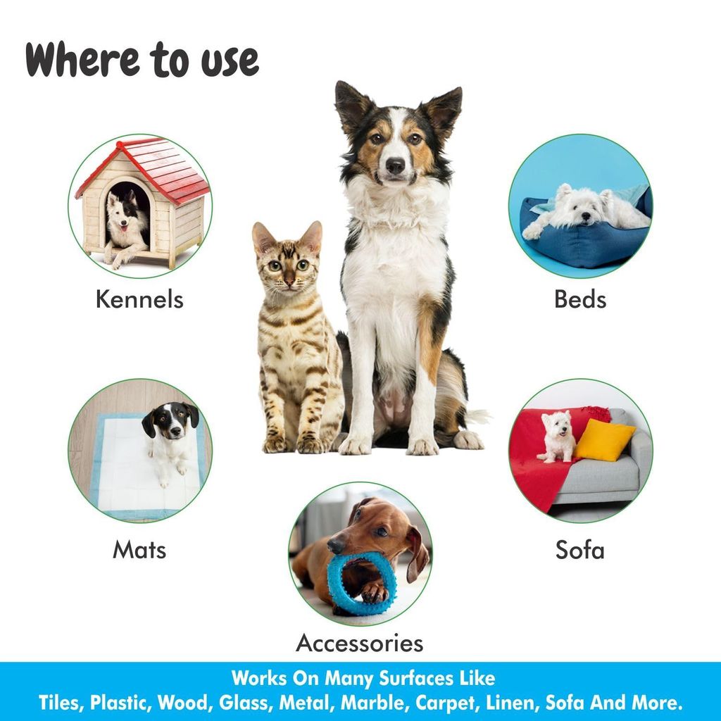 Bscly Dog Shampoo 1000Ml - Ticks & Fleas Prevention - Enriched with Chamomile, Aloe and Coconut Oil - Moisturizes & Heals Skin - Suitable for Pomeranians to Golden Retrievers