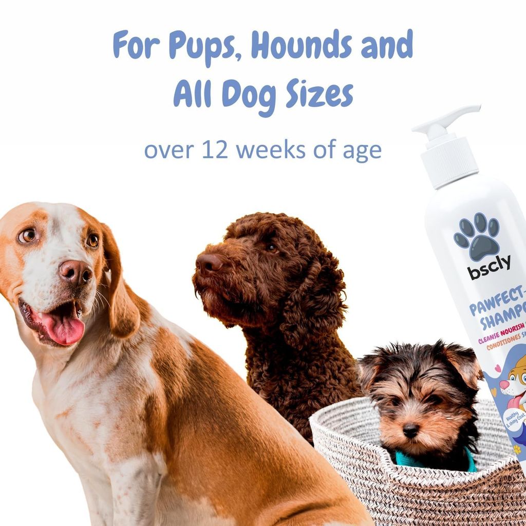 BSCLY Pawfect 5 Dog Shampoo - 200ml | for Pomeranian, Shih Tzu Puppy, German Shepherd, Labrador & Golden Retriever | Cleanses, Conditions, Detangles, Moisturizes & Deodorizes