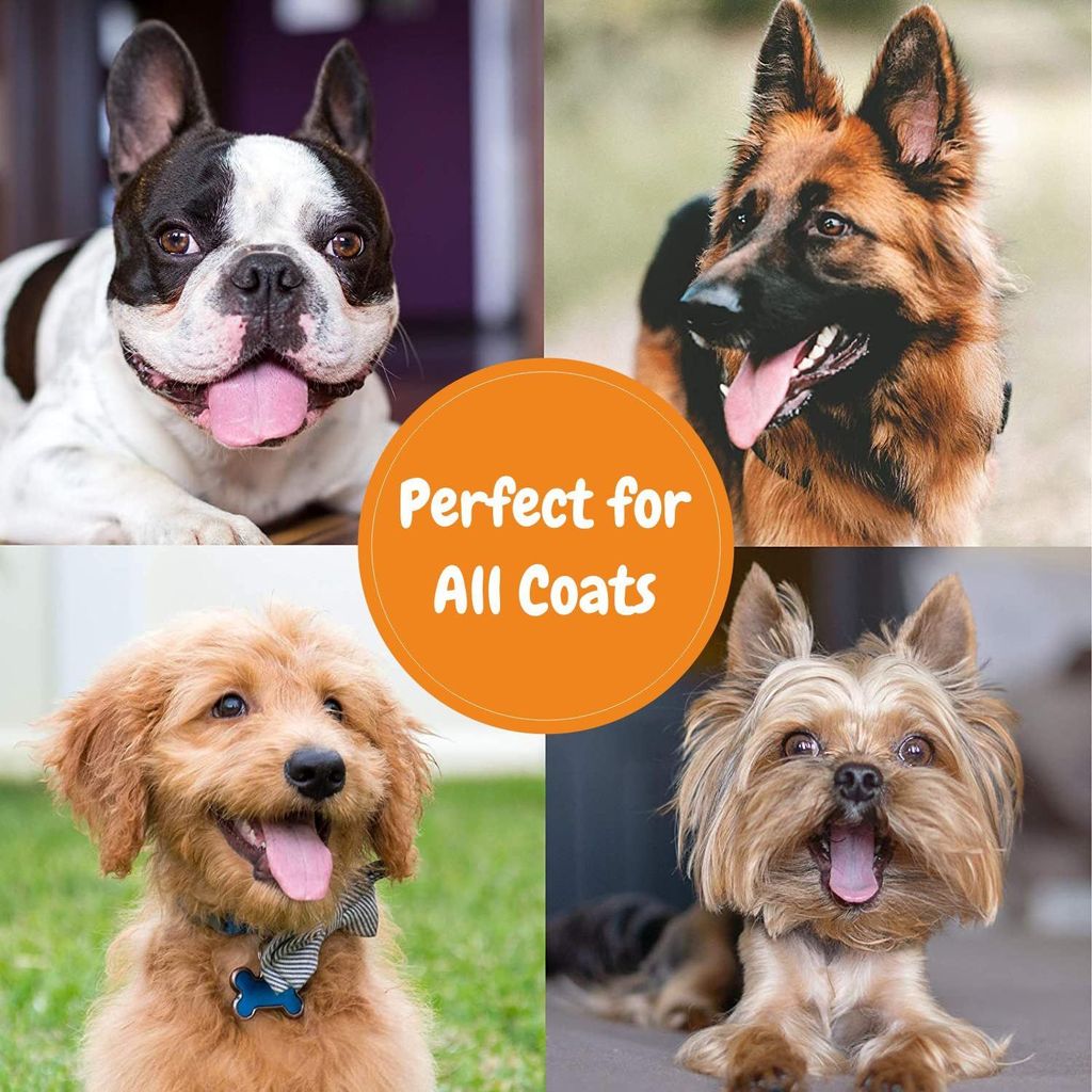 Trespaws Anti Bacterial Dog Shampoo | Dog Shampoo for Pomeranian, Shih tzu Puppy, German Shepherd, Labrador & Golden Retriever, Dogs Shampoo | 200ml