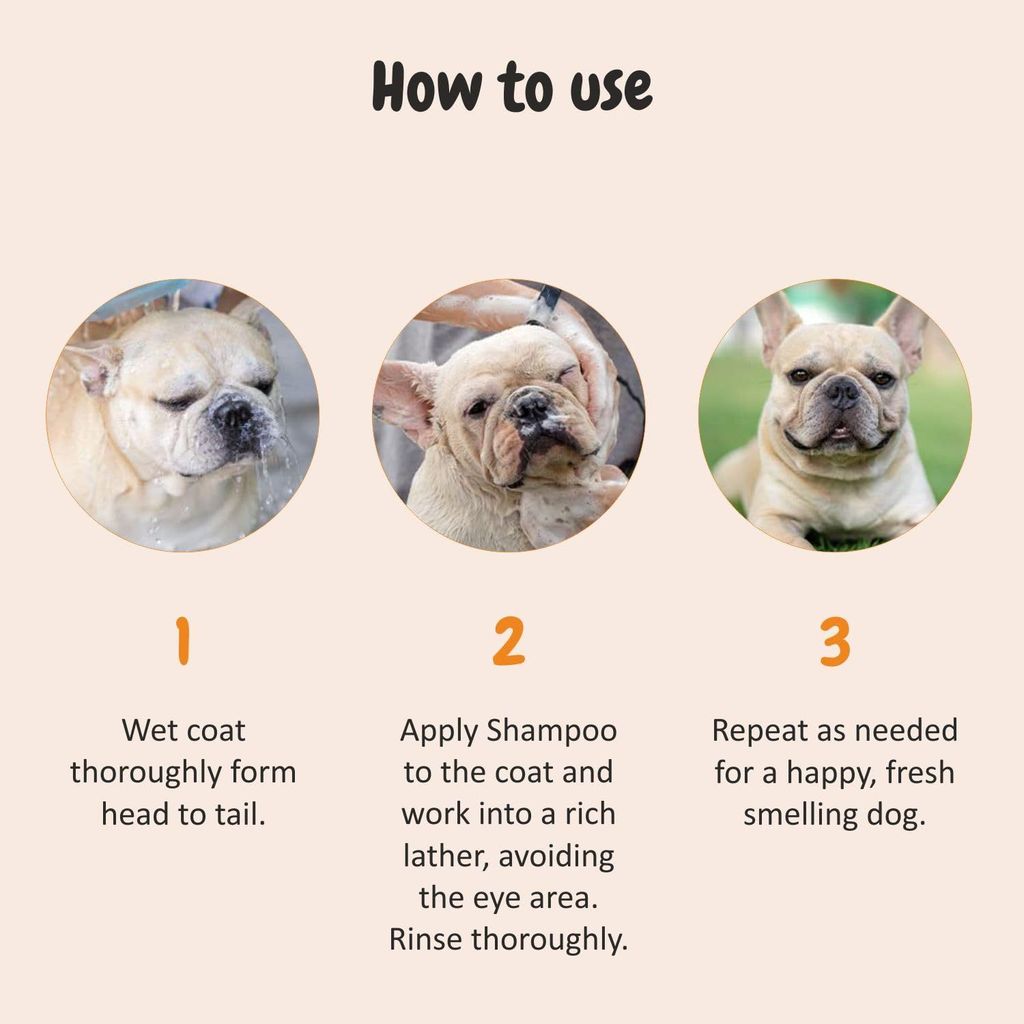 TRESPAWS 5 in 1 Dog Shampoo - 200ml | for Pomeranian, Shih Tzu Puppy, German Shepherd, Labrador & Golden Retriever | Cleanses, Conditions, Detangles, Moisturizes & Deodorizes