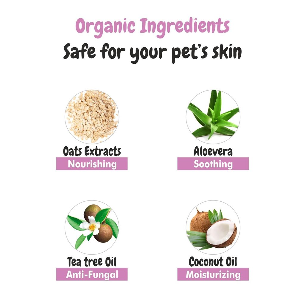 Bscly Meow Cat Shampoo 1000Ml - Enriched with Oatmeal Extract & Coconut Oil - Moisturizes & Heals Skin Cat Shampoo for Persian Cat Hair Fall, Normal Cat, Kitten Shampoo