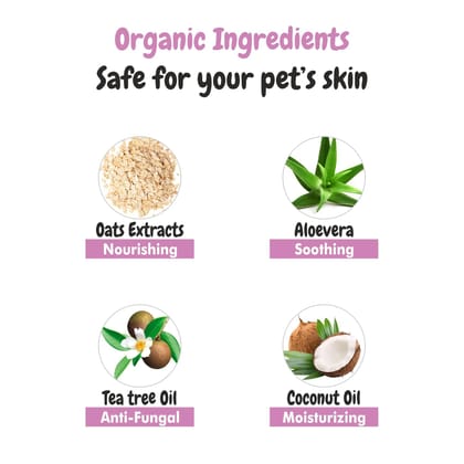 Bscly Meow Cat Shampoo 1000Ml - Enriched with Oatmeal Extract & Coconut Oil - Moisturizes & Heals Skin Cat Shampoo for Persian Cat Hair Fall, Normal Cat, Kitten Shampoo