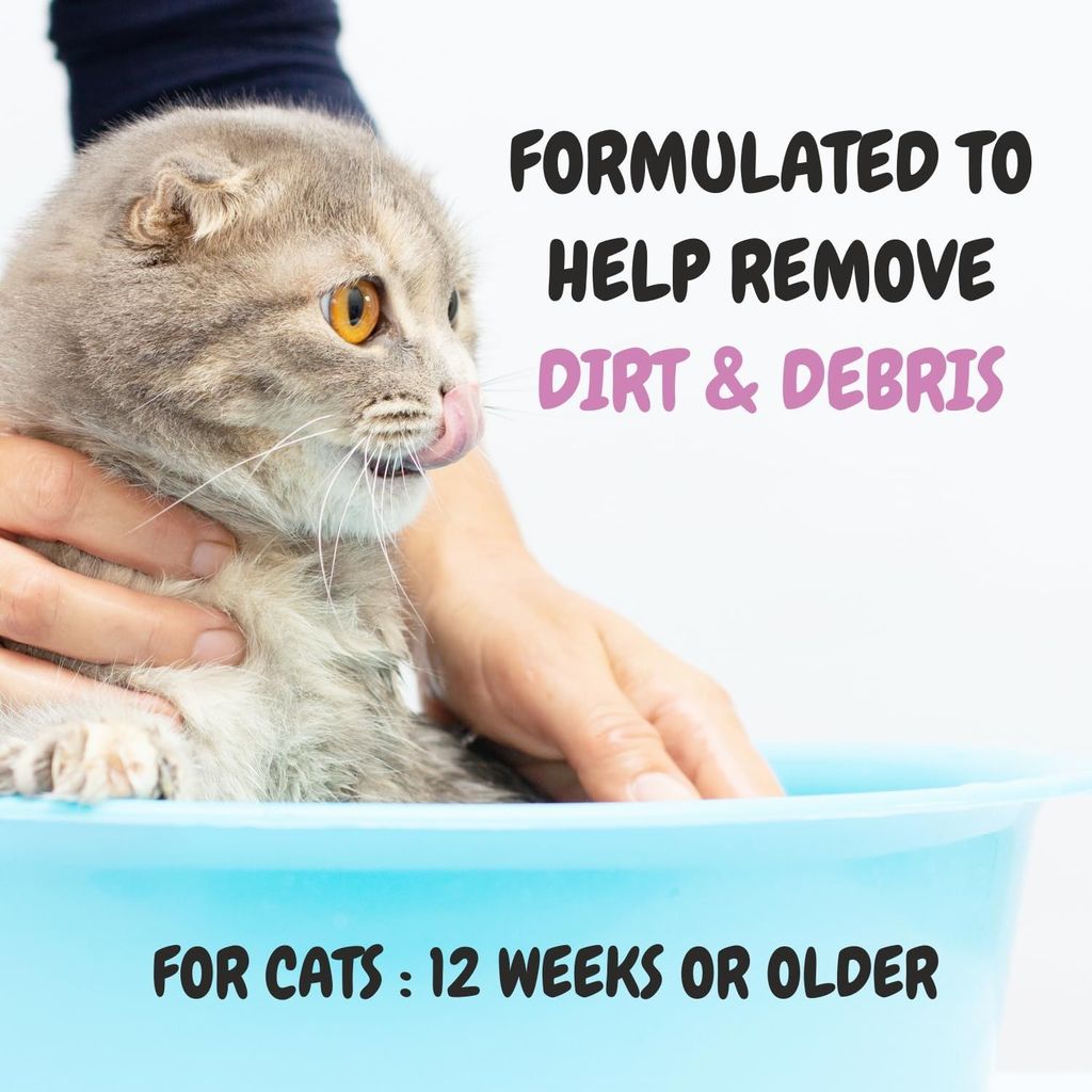 Bscly Meow Cat Shampoo 1000Ml - Enriched with Oatmeal Extract & Coconut Oil - Moisturizes & Heals Skin Cat Shampoo for Persian Cat Hair Fall, Normal Cat, Kitten Shampoo