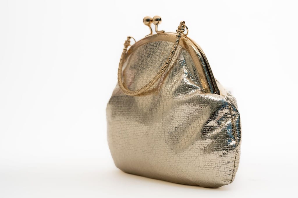 Vdesi Royal Gold Purse