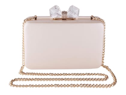 Vdesi Women Clutch White-