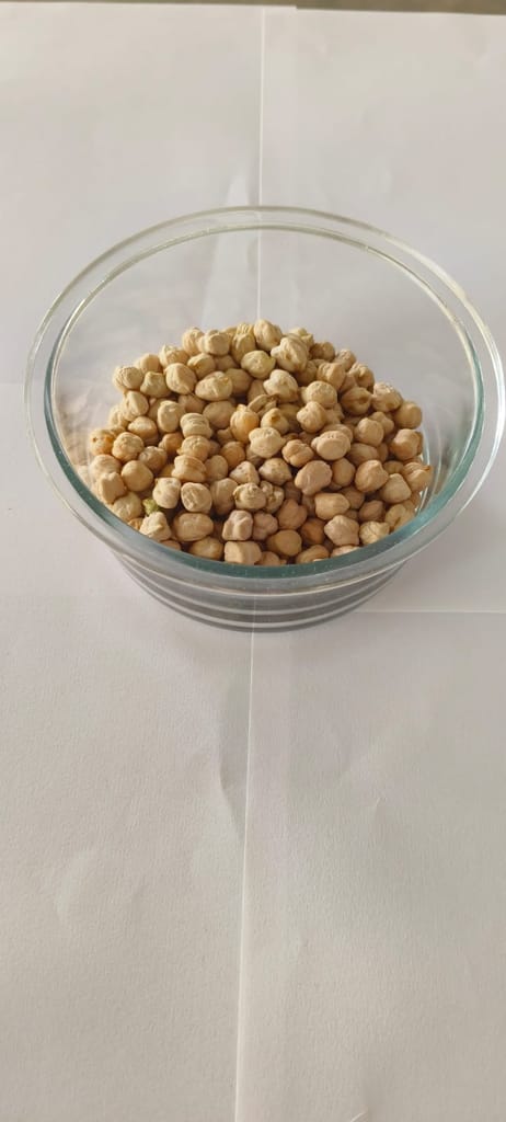 Organic Dried Chickpeas - 1 Pound