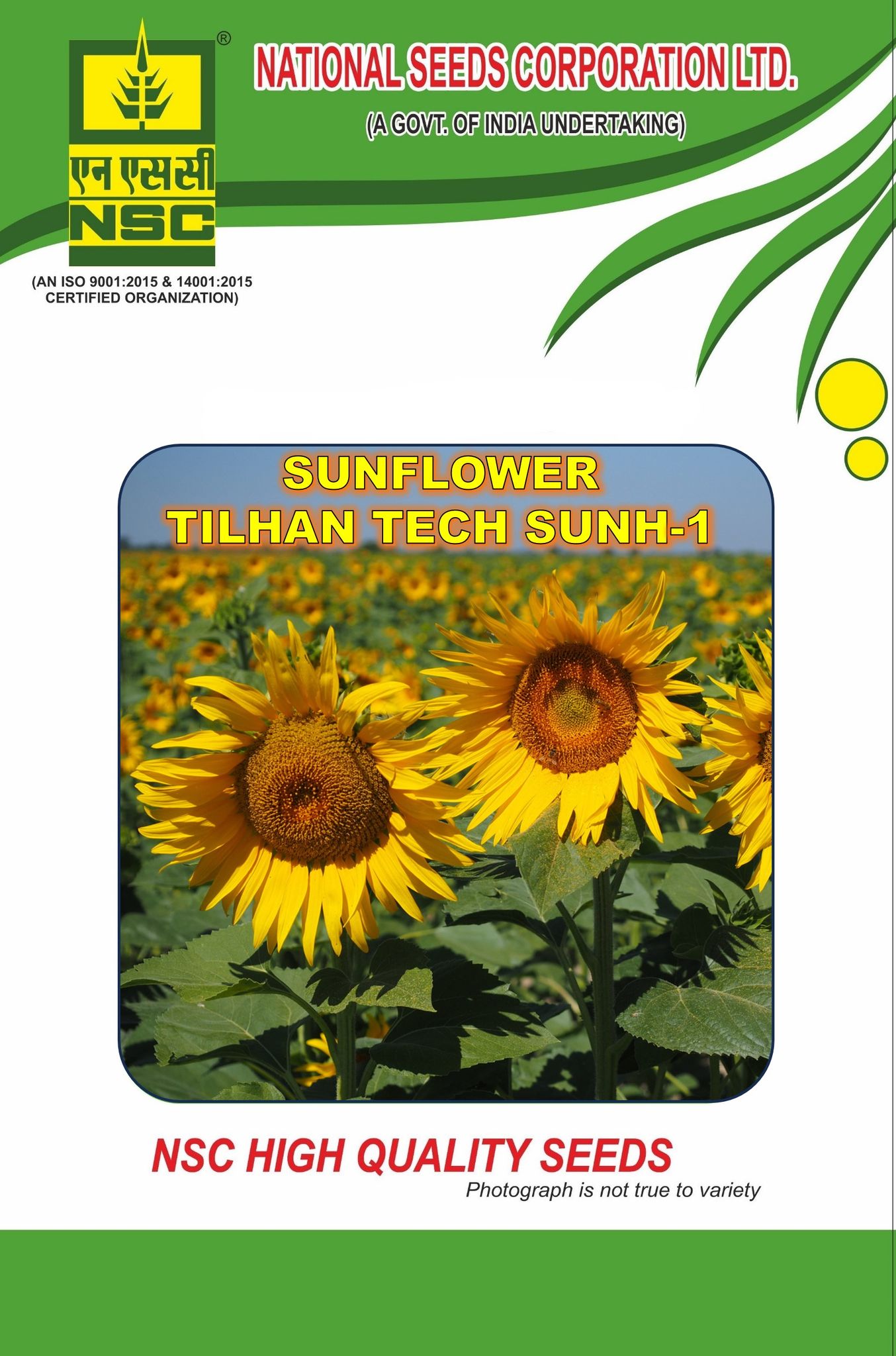 NSC Hybrid Sunflower (Tilhan Tech-SUNH-1); 100 gm