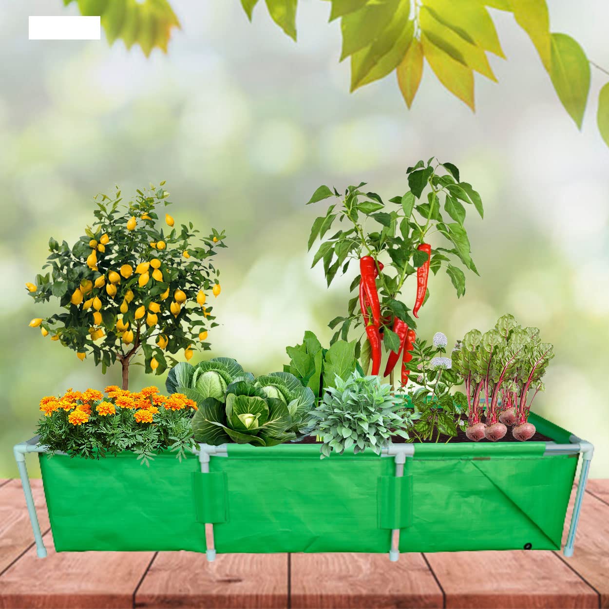 WNE Jaliwale (Size - 5 X 2 X 1.5 Feet HDPE Rectangle Grow Bag with PVC Pipe Support Full Structure & Rectangle Grow Bag with Supporting PVC Pipes, Grow Bags with Support for Terrace Gardening