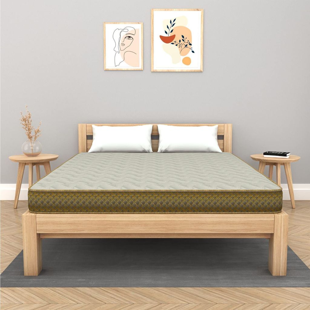 Centuary Mattresses Softopedic 2.0 6-Inch Best Foam Mattress