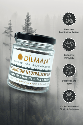 Dilman Pure Pine Needle Drink - Natural Pollution Neutralizer for Rejuvenation