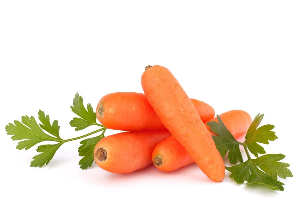 CARROT