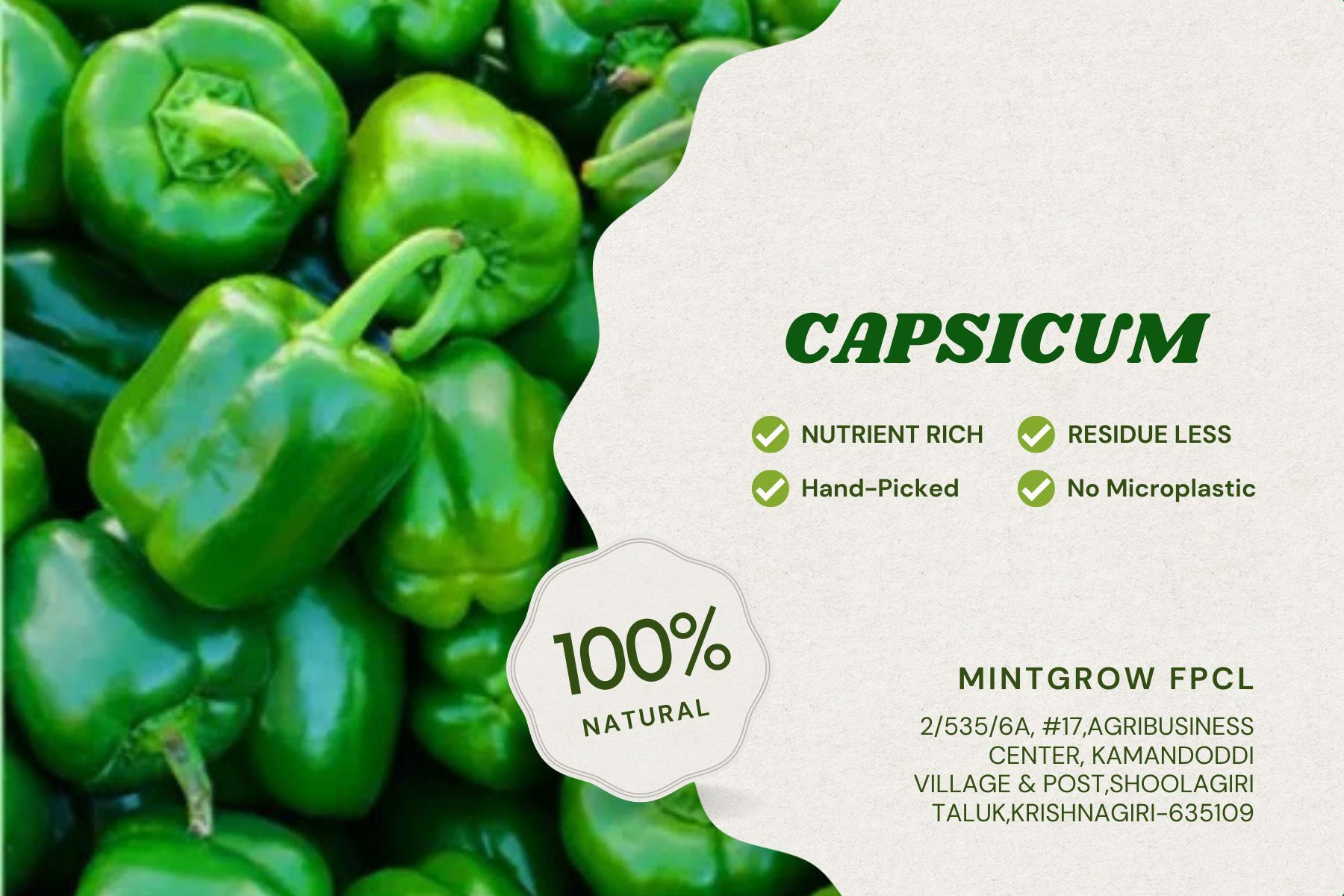 GREEN CAPSICUM