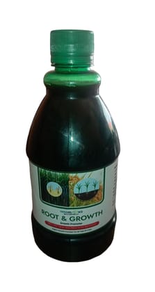 Root & Growth