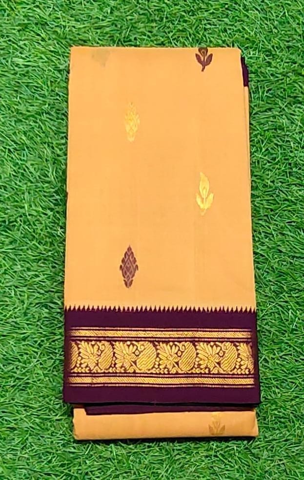 ADIVARAPUPETA KUPPADAM COTTON SAREE