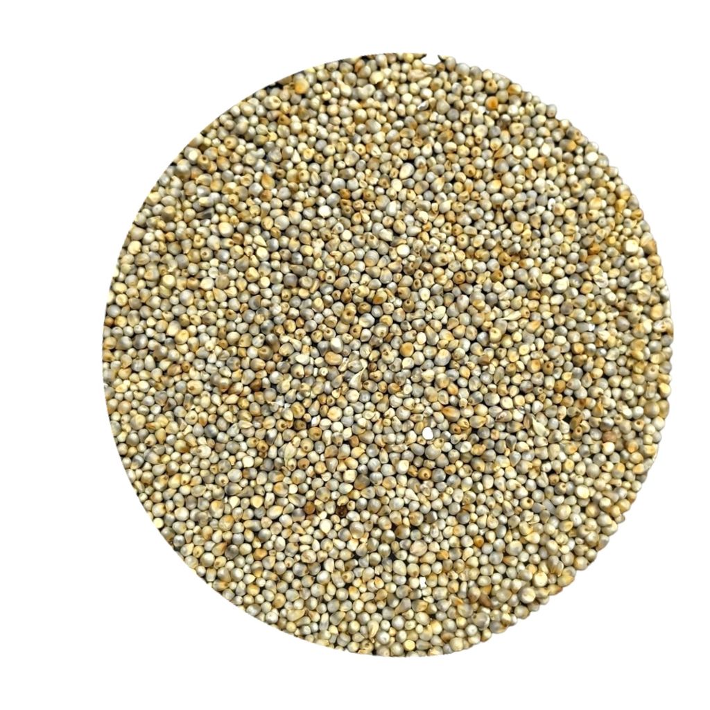 NAATU CUMBU/ COUNTRY PEARL MILLET