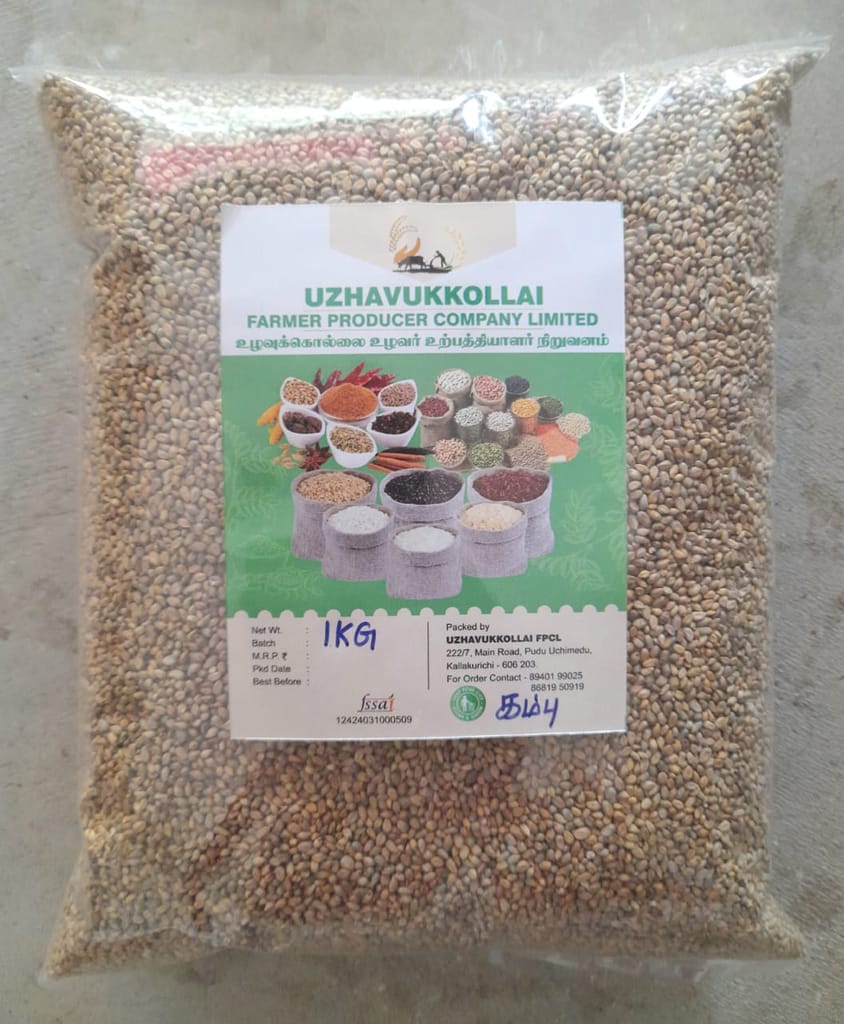 NAATU CUMBU/ COUNTRY PEARL MILLET
