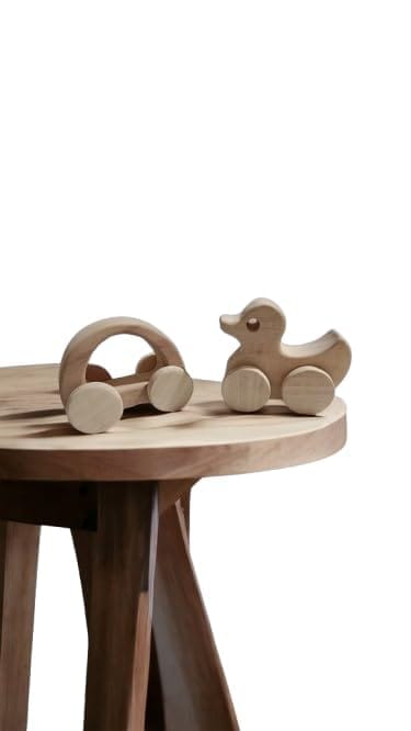 Neemtoys Pack of 2 Elegant Wheel Toys for Kids with Hallow Car and Duck Shapes, Enjoy The Benefits, Vehicle Pull Along Toddlers Toy for Babies (Brown)