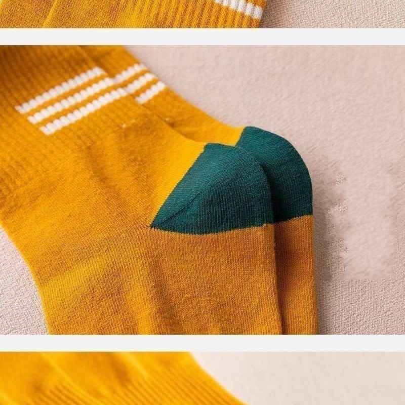 SOCKSCARVING Multicolour Cotton Doms Edition Socks for Unisex-Pack of 5, Age 20-45 Years, High Ankle