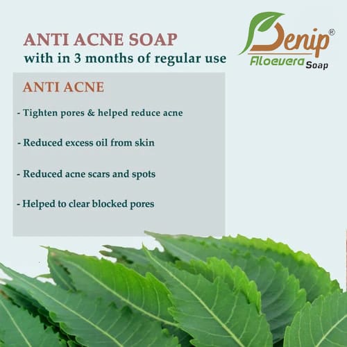 Premium Men Denip Aloe Vera Soap for Acne free and Refreshed Skin (Pack of 2) 2025 at ShopCircui