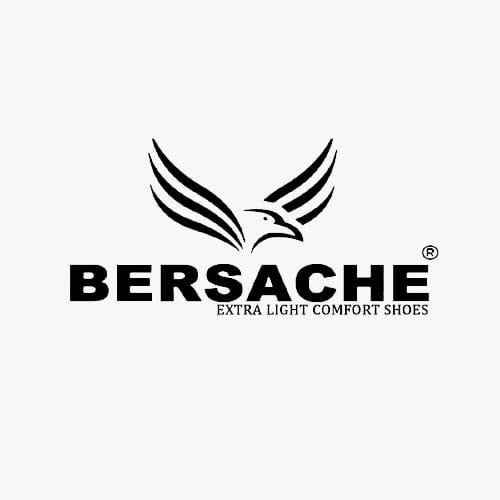 BERSACHE SPORTS INTERNATIONAL PRIVATE LIMITED logo