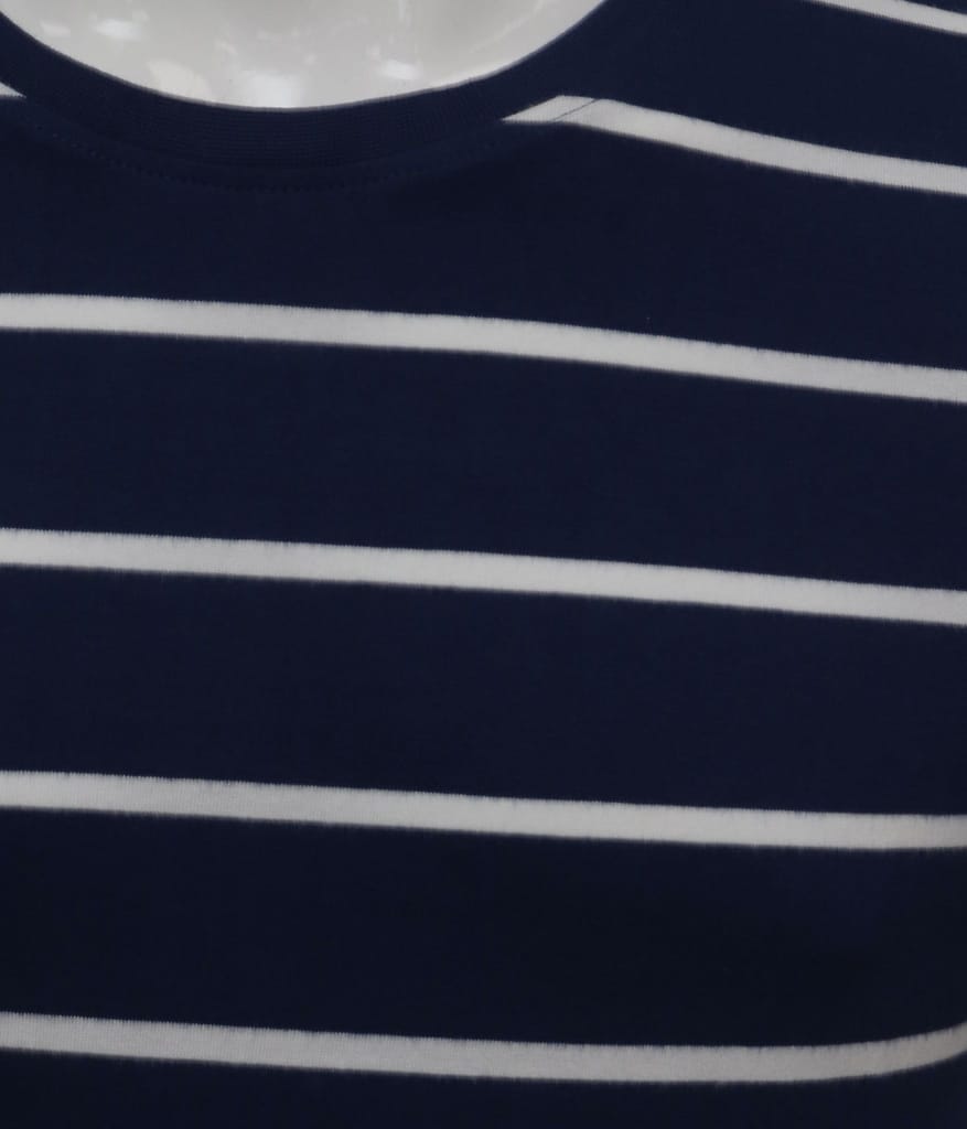 Men's Blue Striped Crew Neck T-Shirt