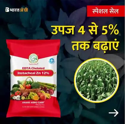 Instacheal Zn 12%, EDTA Chelated Zinc 12%