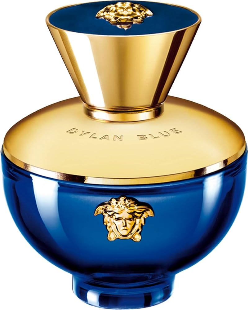 Versace Dylan Blue Pour Femme 100ml Eau de Parfum Spray 100ml Women Scent