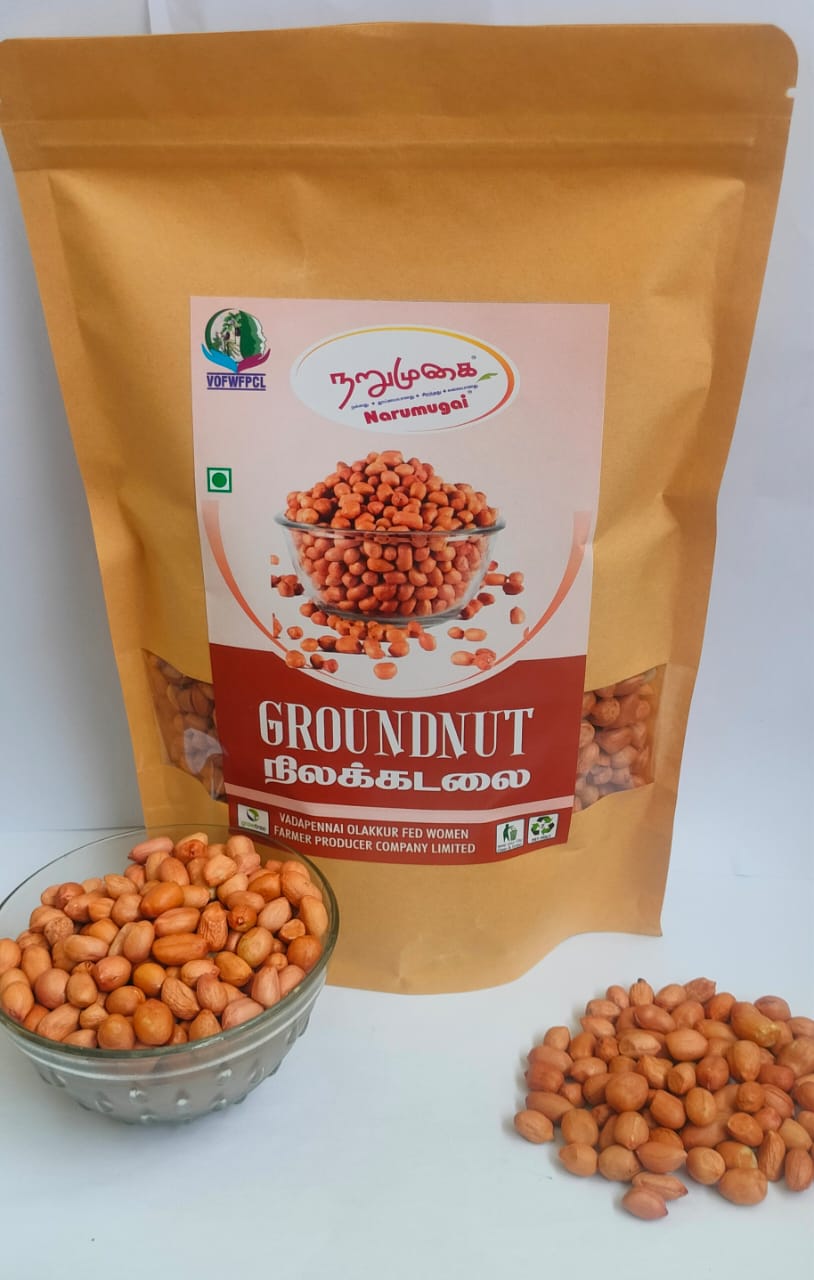 Groundnut Kernel