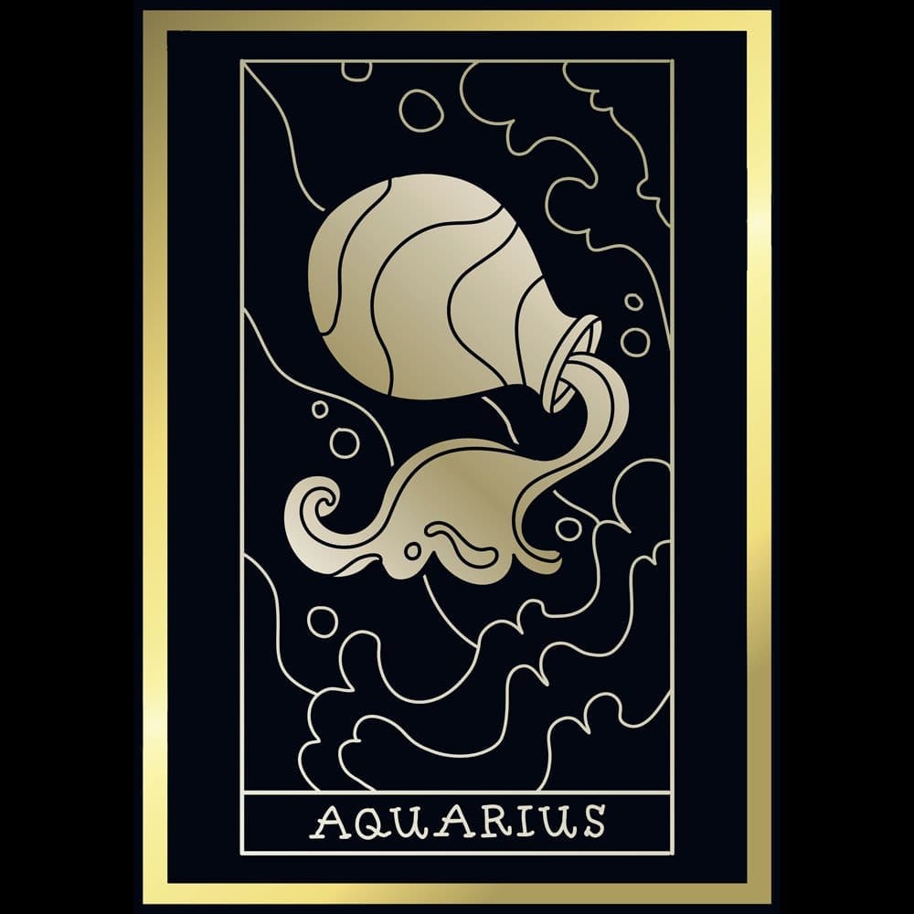 Affordable Women EqualLife Pure Cotton Bio-Washed T-Shirt Chest Printed-Zodiac Sign Series-1-AQU