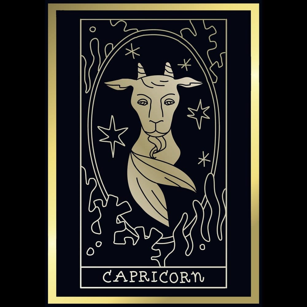 Premium Women EqualLife Pure Cotton Bio-Washed T-Shirt Chest Printed-Zodiac Sign Series-1-CAPRIC