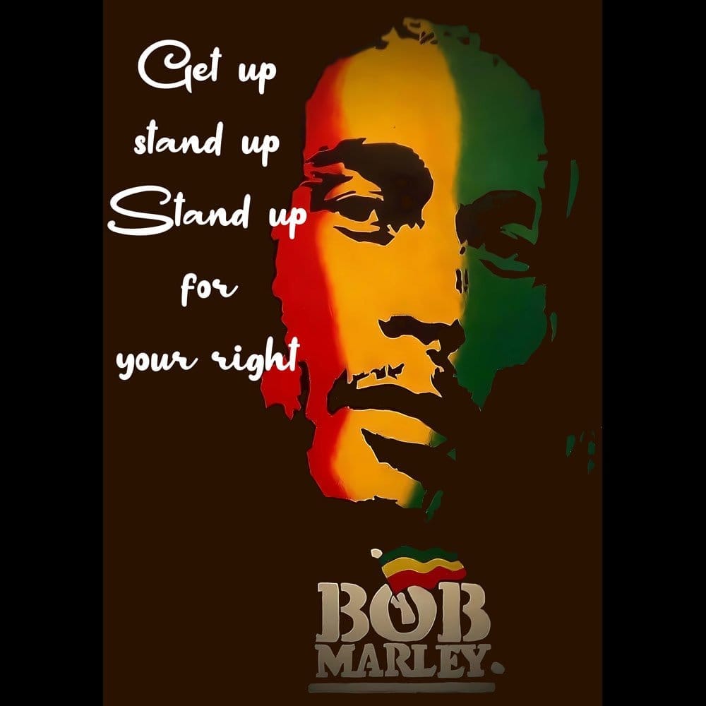 Best Women EqualLife Pure Cotton Bio-Washed T-Shirt Chest Printed-Tribute to Bob Marley-Rock Mus