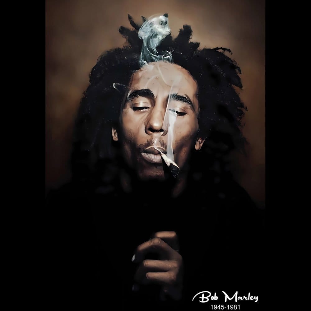 Latest Women EqualLife Pure Cotton Bio-Washed T-Shirt Chest Printed-Tribute to Bob Marley-Rock M