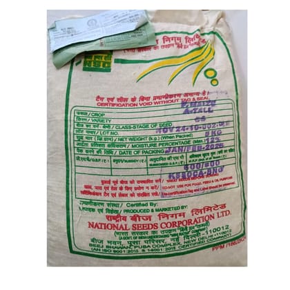 NSC Fodder Maize African Tall Variety, 5 Kg Certified Seed Bag